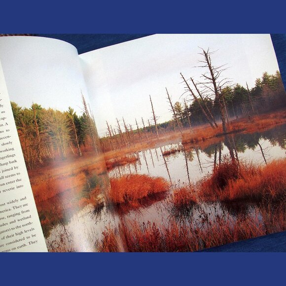 Book - Wetlands: The Web of Life, by Paul Rezendes and Paulette Roy - Picture 8 of 13
